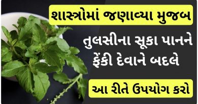 tulsi no upyog in gujarati
