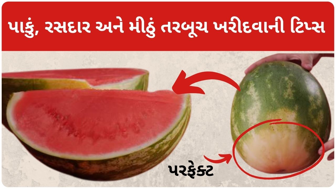 watermelon buying tips gujarati