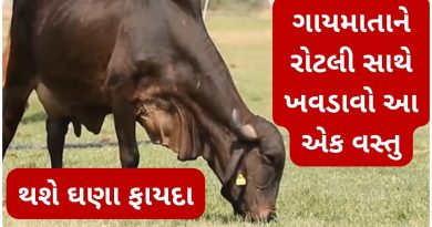 gay ne rotli khavdavana fayda