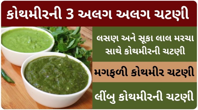 green chutney recipe in gujarati