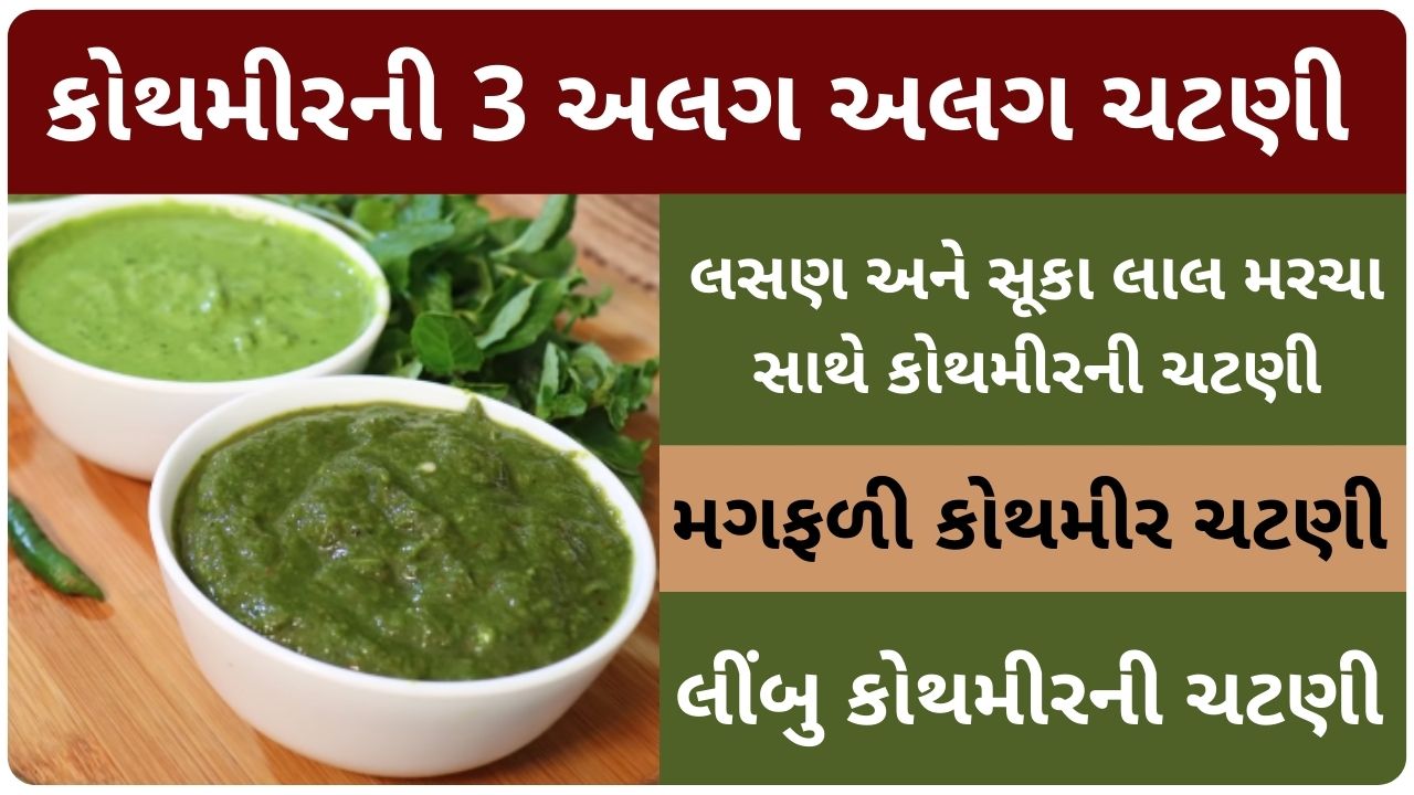 green chutney recipe in gujarati