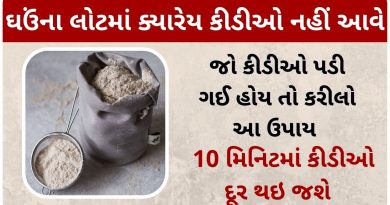 Remedy for ants in wheat flour