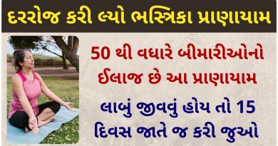 bhastrika pranayama benefits in gujarati