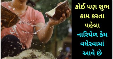 coconut tree information in gujarati