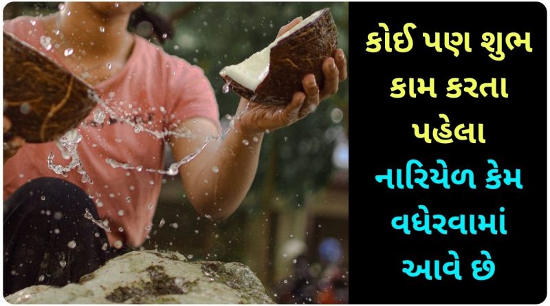 coconut tree information in gujarati