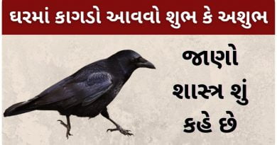 jyotish shastra in gujarati