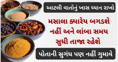 masala gujarati