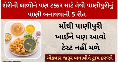 pani puri nu pani banavani rit