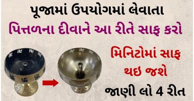 pital diva saf karavani rit