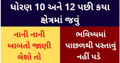 what is the most important thing when choosing a career