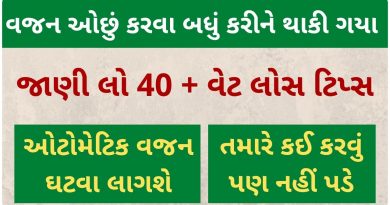 diet plan for weight loss fast in gujarati