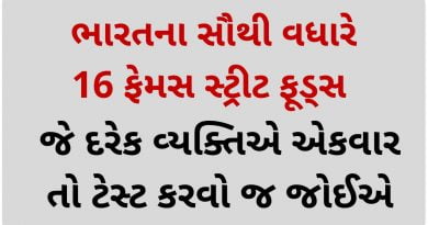 famous street food in india