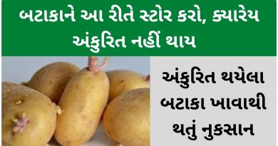 how to store potatoes for long time at home