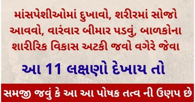 protein foods veg list in gujarati