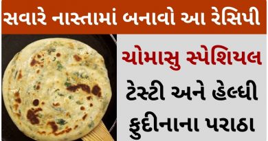 pudina paratha recipe in gujarati