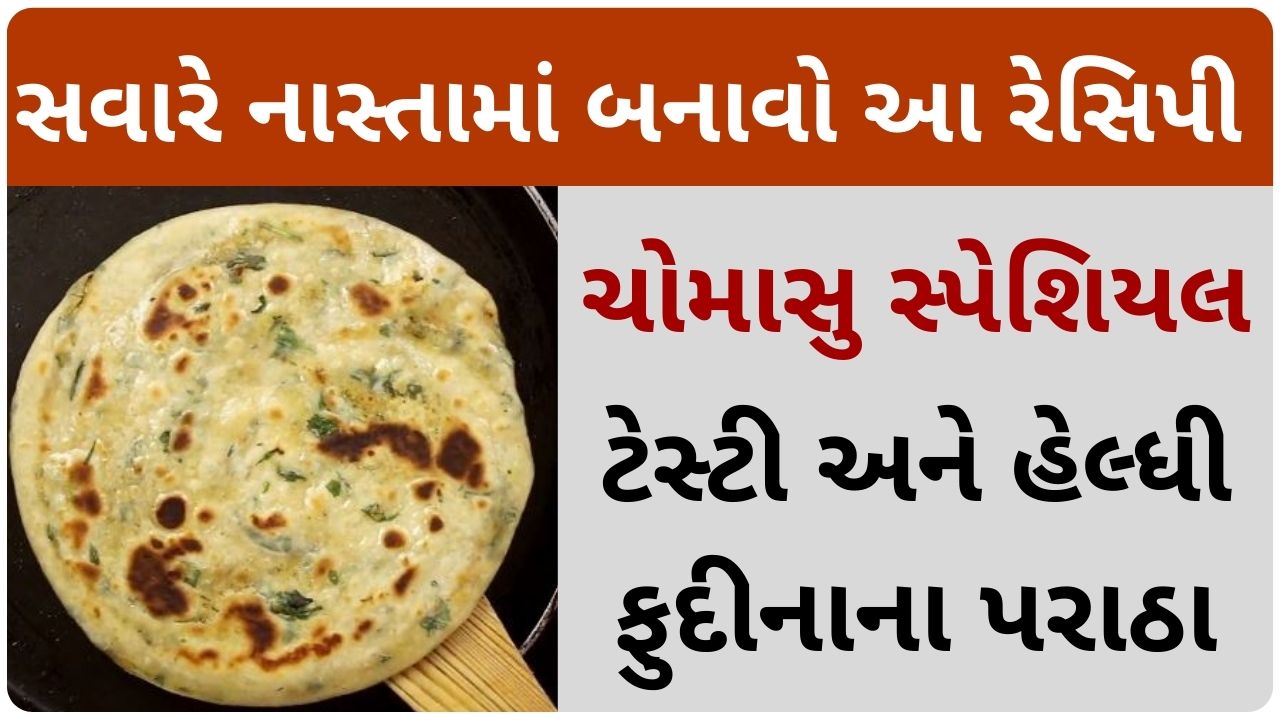 pudina paratha recipe in gujarati