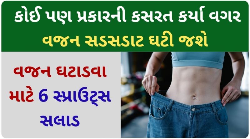 sprouted salad recipe in gujarati