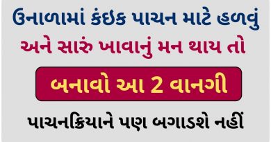 summr recipe in gujarati