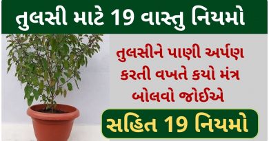 vastu shastra for tulsi plant