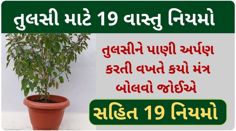 vastu shastra for tulsi plant
