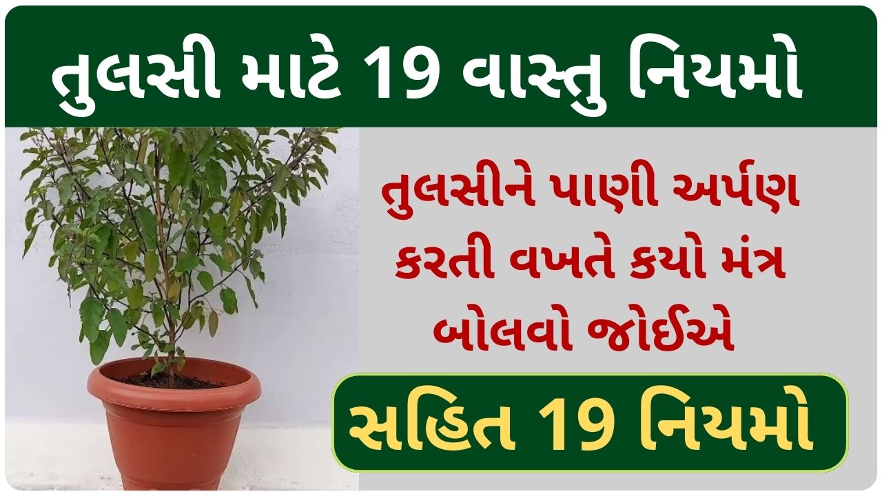 vastu shastra for tulsi plant