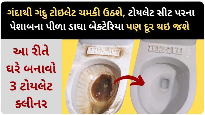homemade toilet cleaner recipe