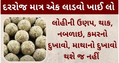 ladva recipe in gujarati