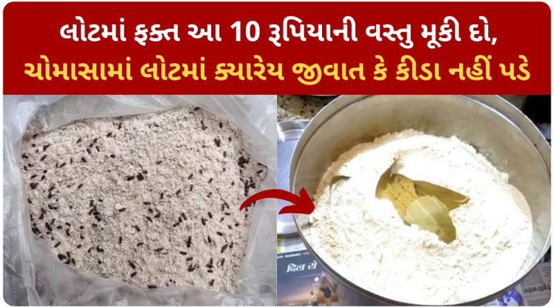 lot ma kida door karva mate