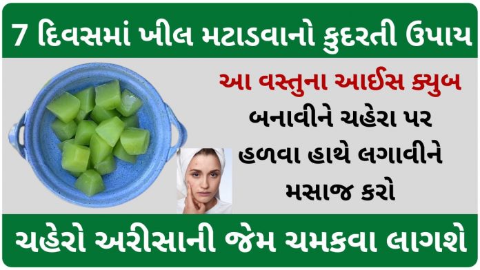 aloe vera ice cubes for face in gujarati