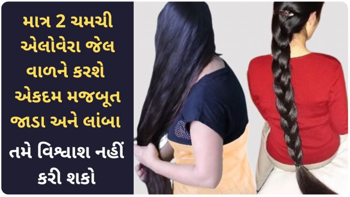 aloe vera uses in gujarati