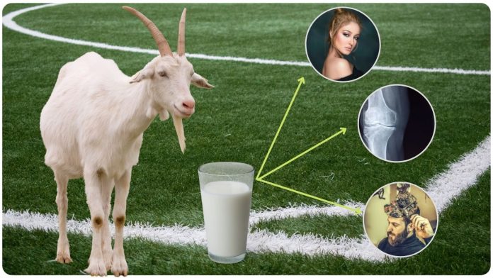 bakari nu dudh pivana fayda
