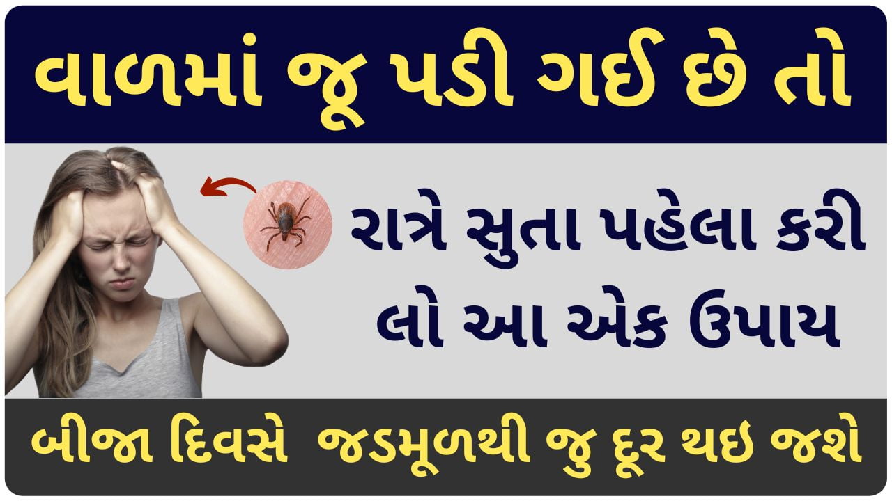 lice home remedy in gujarati