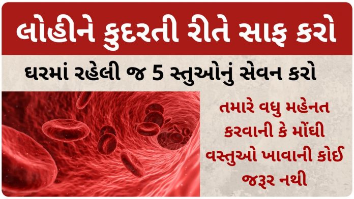 lohi saf karv mate gujarati