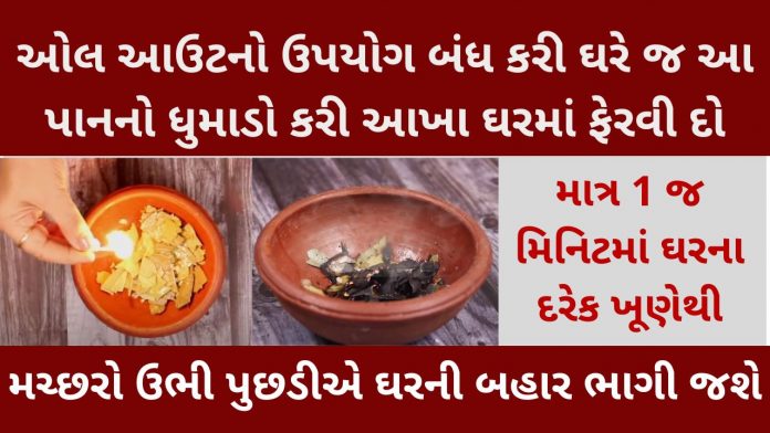 machhar bhagadvano upay