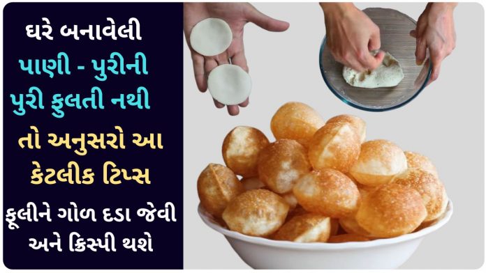 pani puri ni puri banavani rit