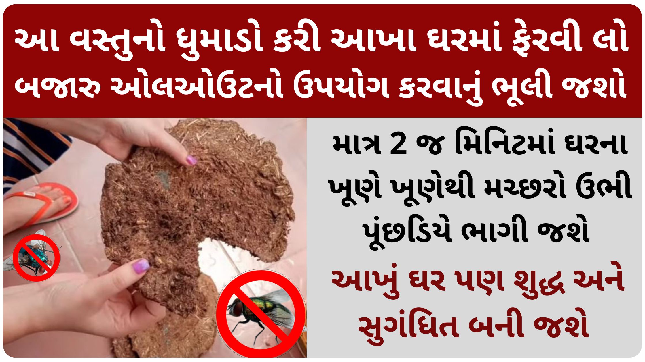cow dung benefits in gujarati