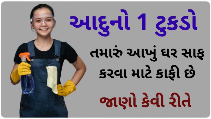 ginger cleaning tips in gujarati