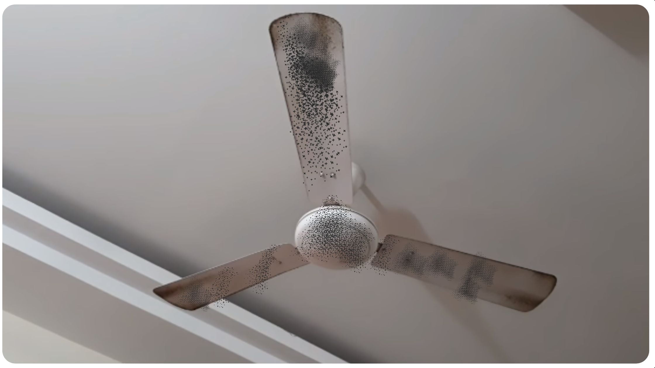 ceiling fan cleaning