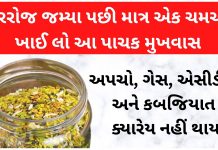 દરરોજ જમ્યા પછી માત્ર એક ચમચી ખાઈ લો આ પાચક મુખવાસ, અપચો, ગેસ, કબજિયાત અને એસીડીટી ક્યારેય નહીં થાય how to make gujarati mukhwas