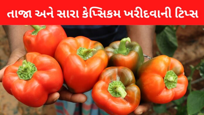 capsicum chilli buying tips