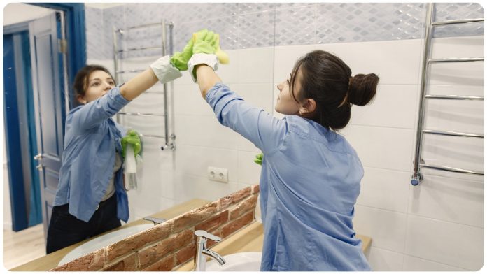 home cleaning tips gujarati