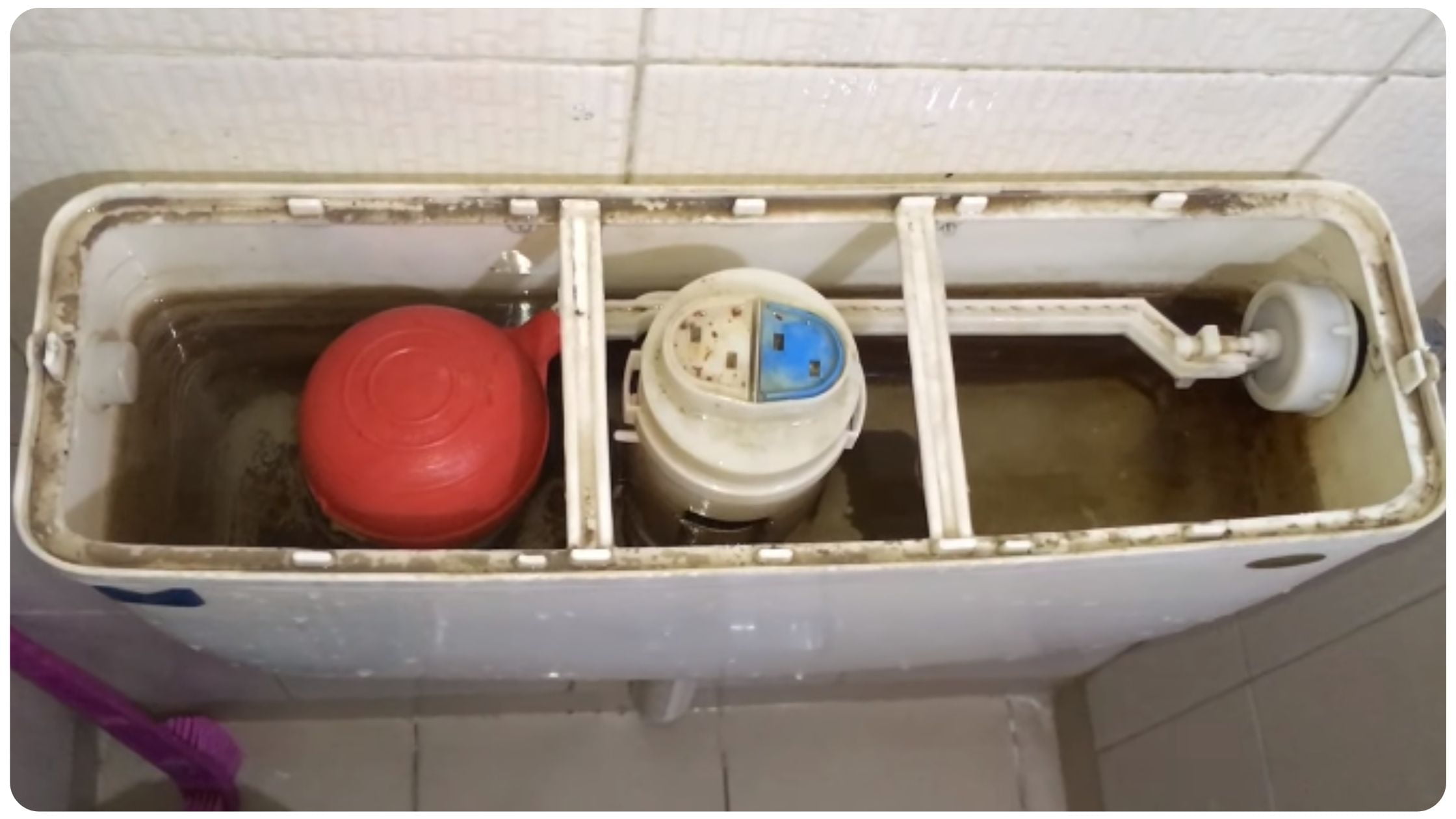 how to clean toilet tank in gujarati