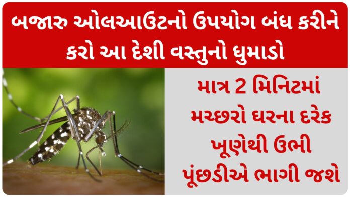 machhar bhagadvano gharelu upay
