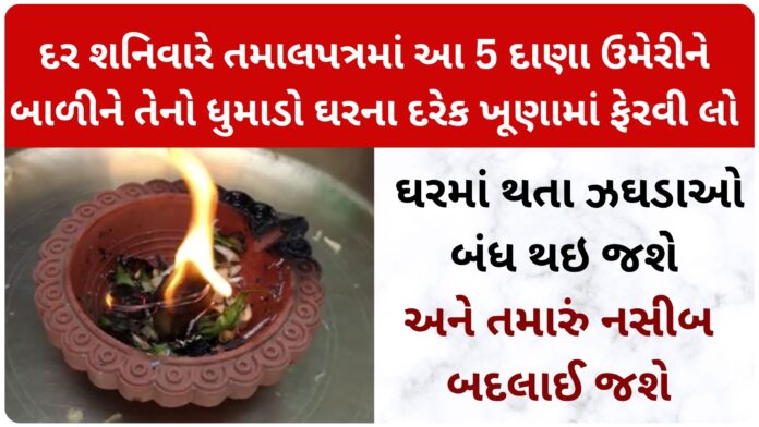 tamalpatra in gujarati