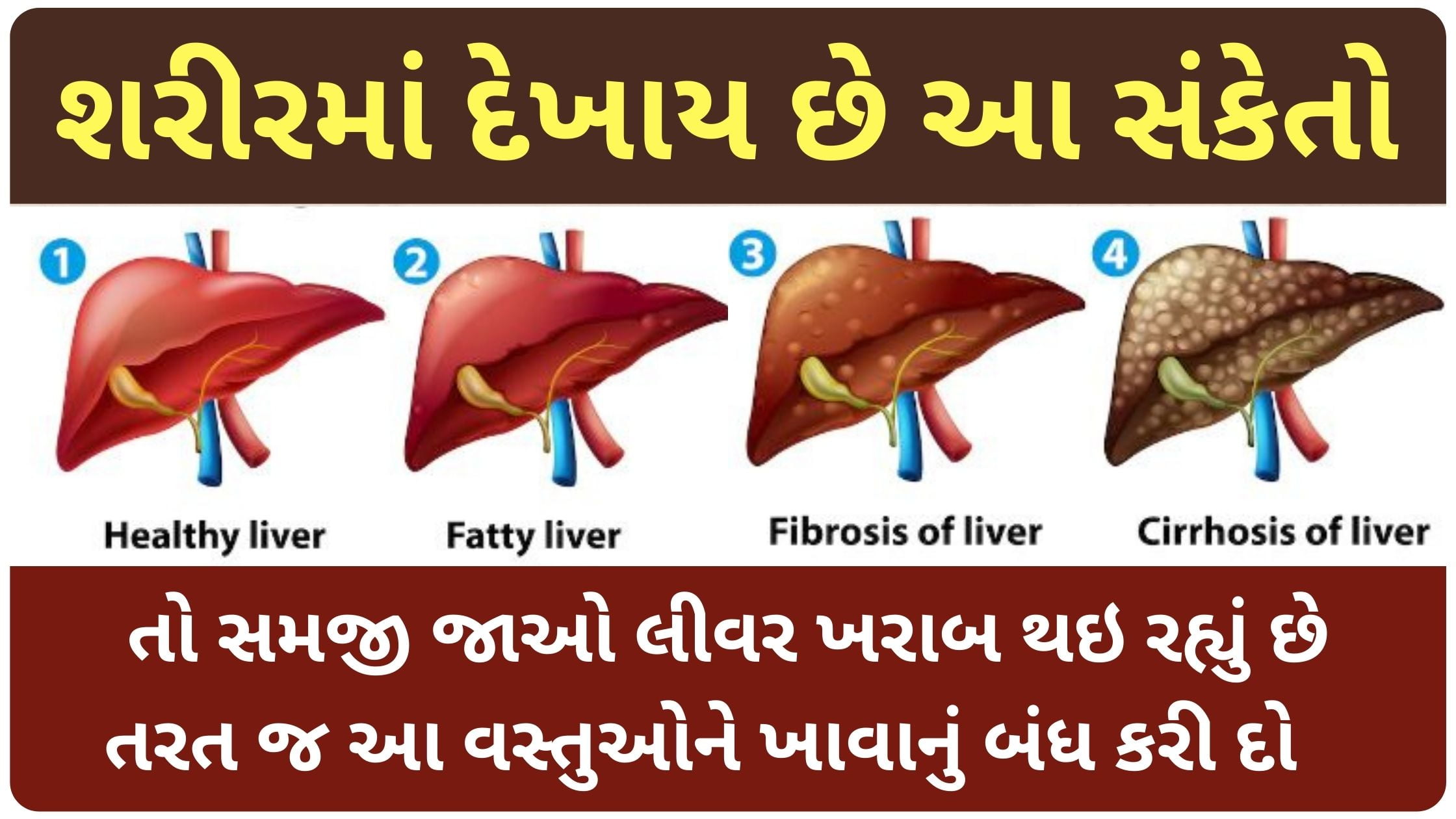 what are the signs your liver is damaged