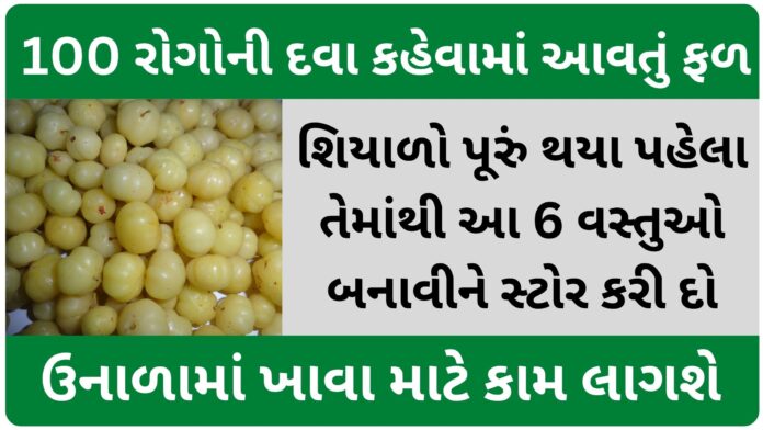 Store these 6 things made from amla before winter