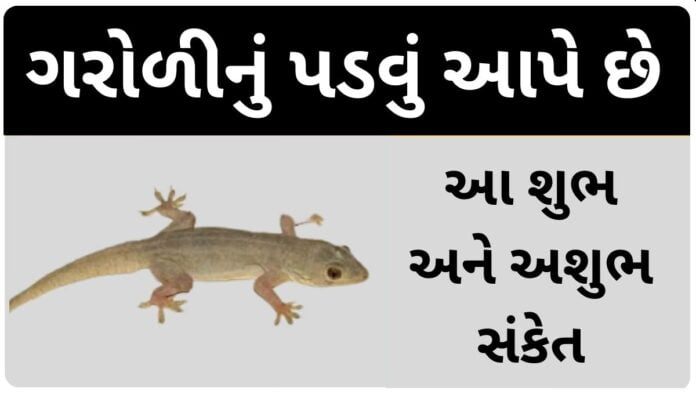 garodi in gujarati