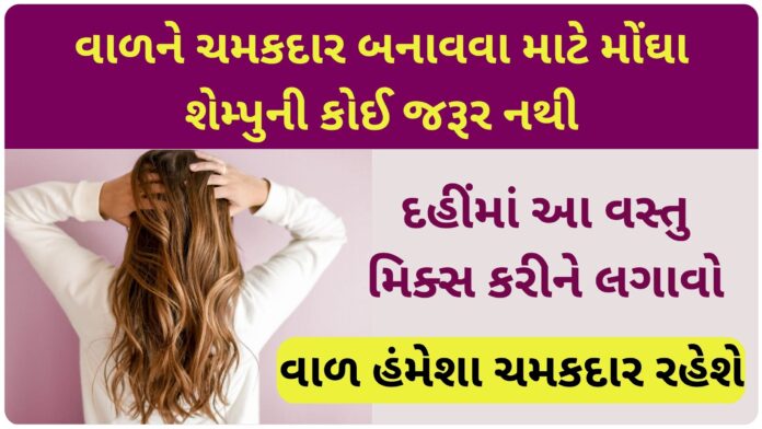 how to get shiny hair naturally at home remedies