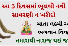 આ 5 દિવસમાં ભૂલથી નવી સાવરણી ન ખરીદો, માતા લક્ષ્મી અને ભગવાન વિષ્ણુ તમારાથી નારાજ થઇ જશે when to buy broom