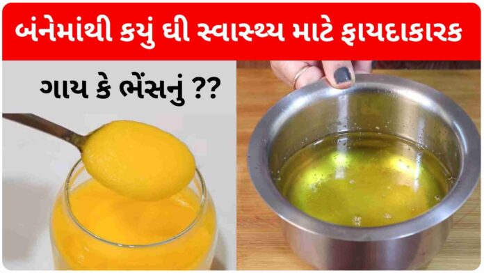 which ghee is good for health cow or buffalo